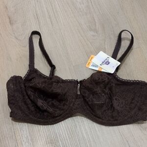 B.tdmpt'd By Wacoal. Nwt, Lace Underwire Bra in Brown.